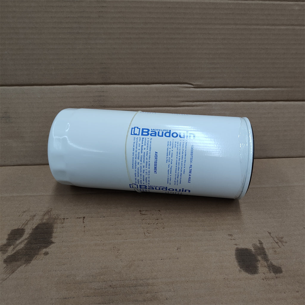 1000697504 Baudouin Engine fuel filter OEM