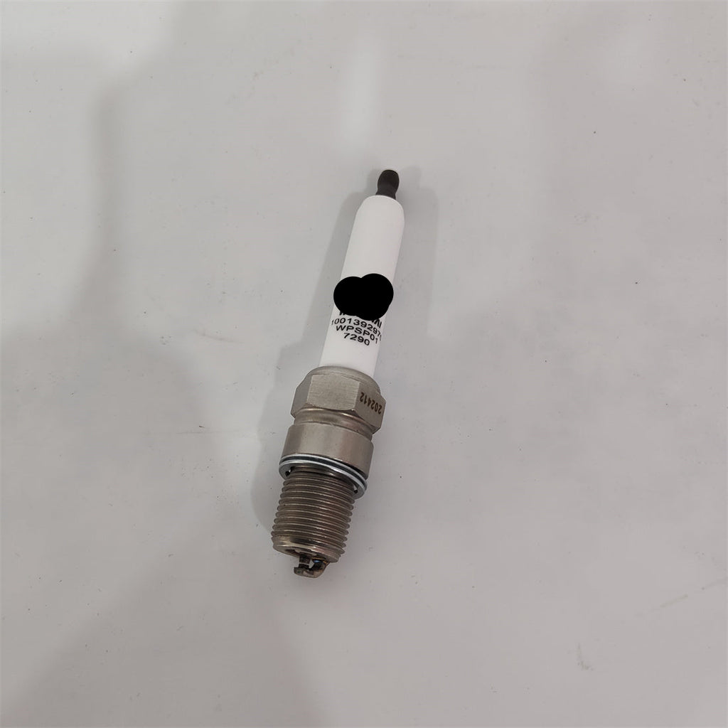 OEM 1001392970  Baudouin spark plug Generator set accessories
