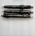 1001703128 1003010591 Fuel Injector Assembly OEM