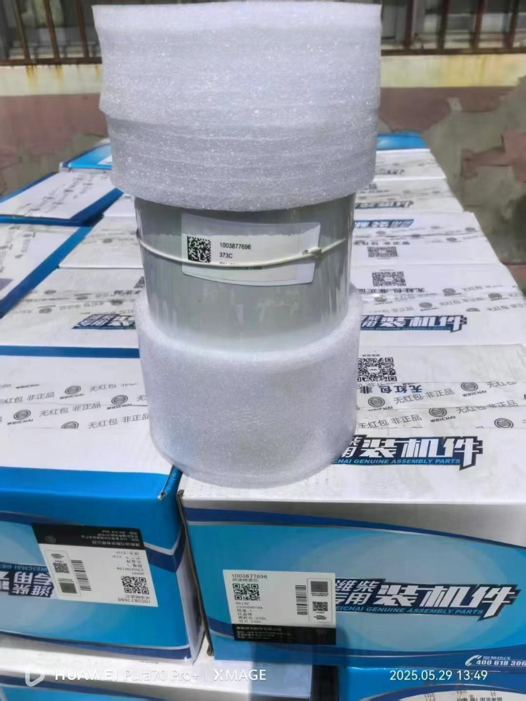1003877696 Filter OEM