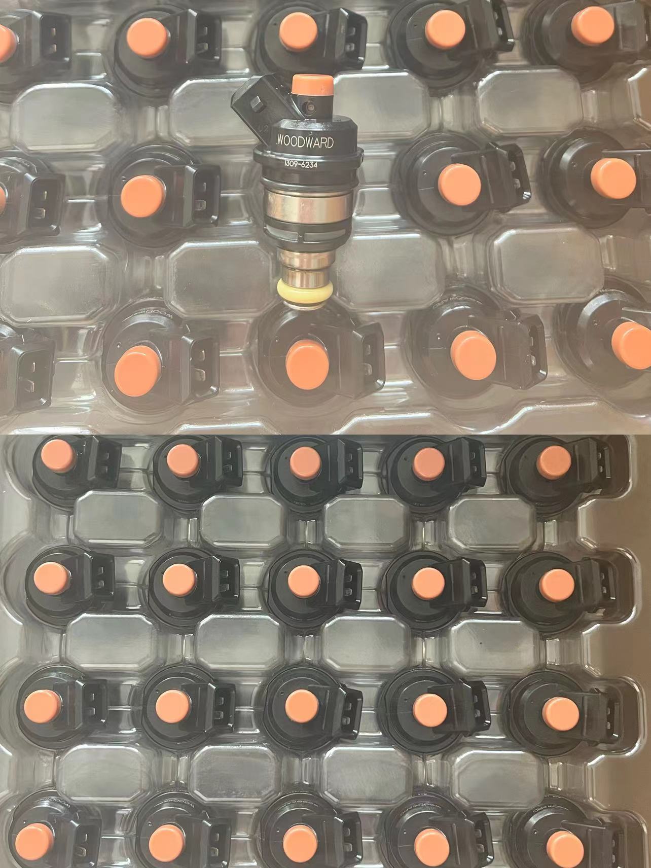 1001101111 1309-6234 Spray valve nozzle OEM