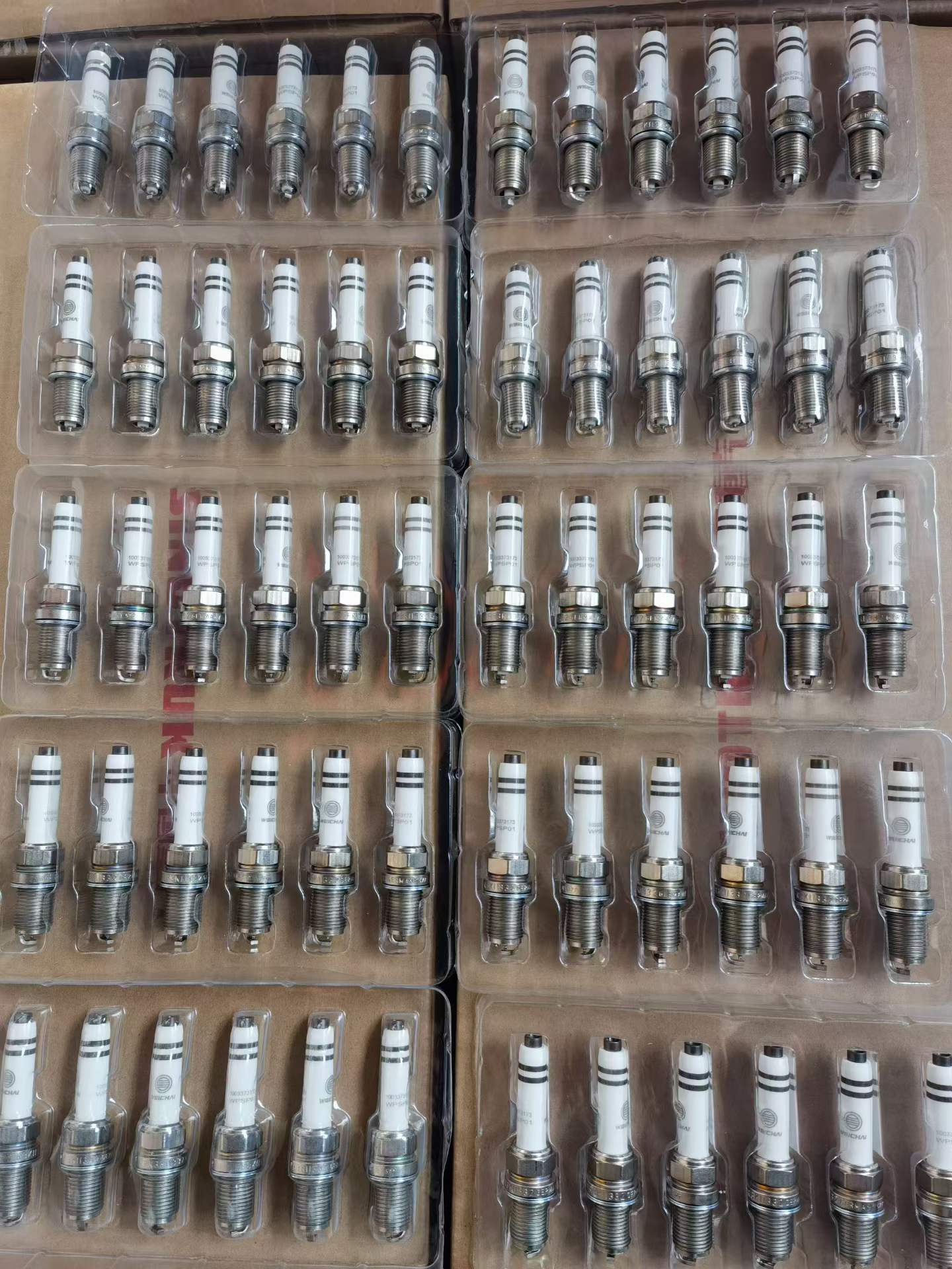 1003373173 Spark Plug OEM