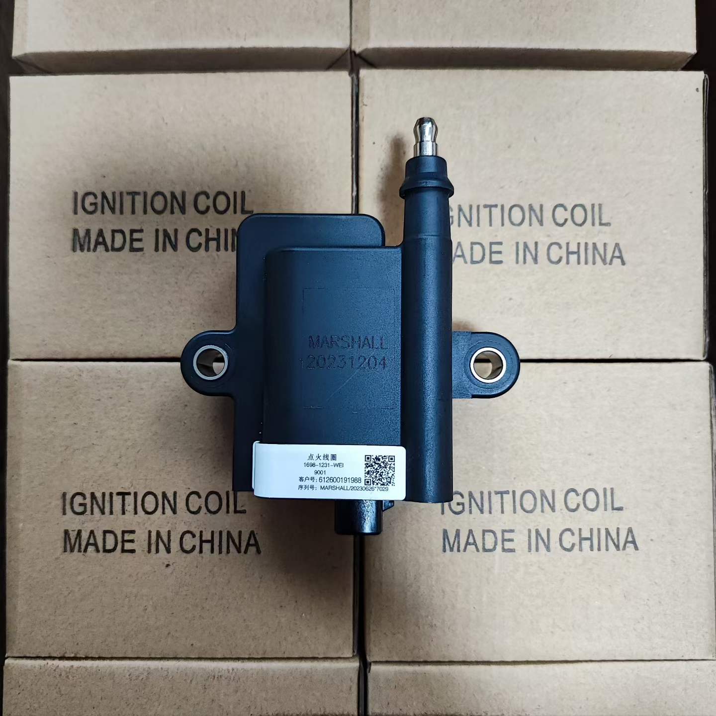 612600191988 ignition coil