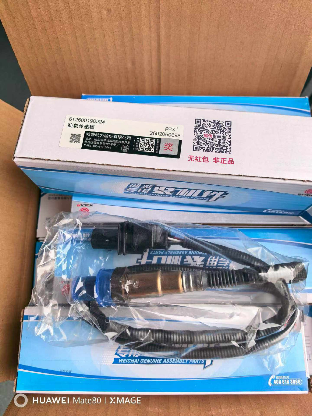 612600190224 0258017462 Oxygen concentration sensor