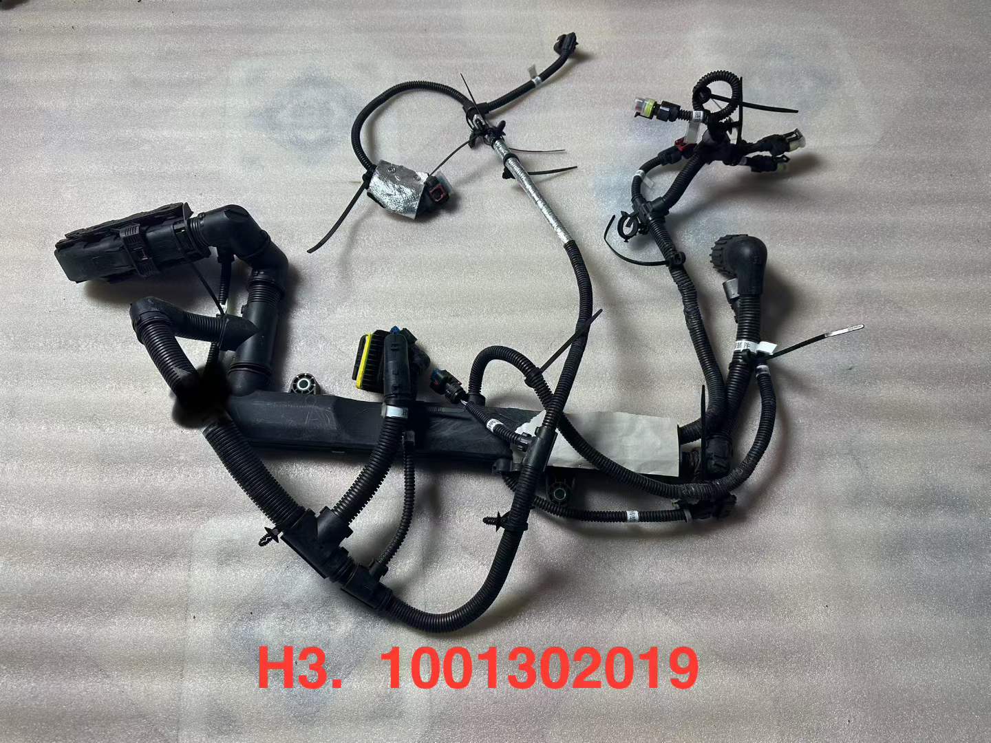 1001302019 engine wiring harness