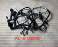 1011393436 engine wiring harness