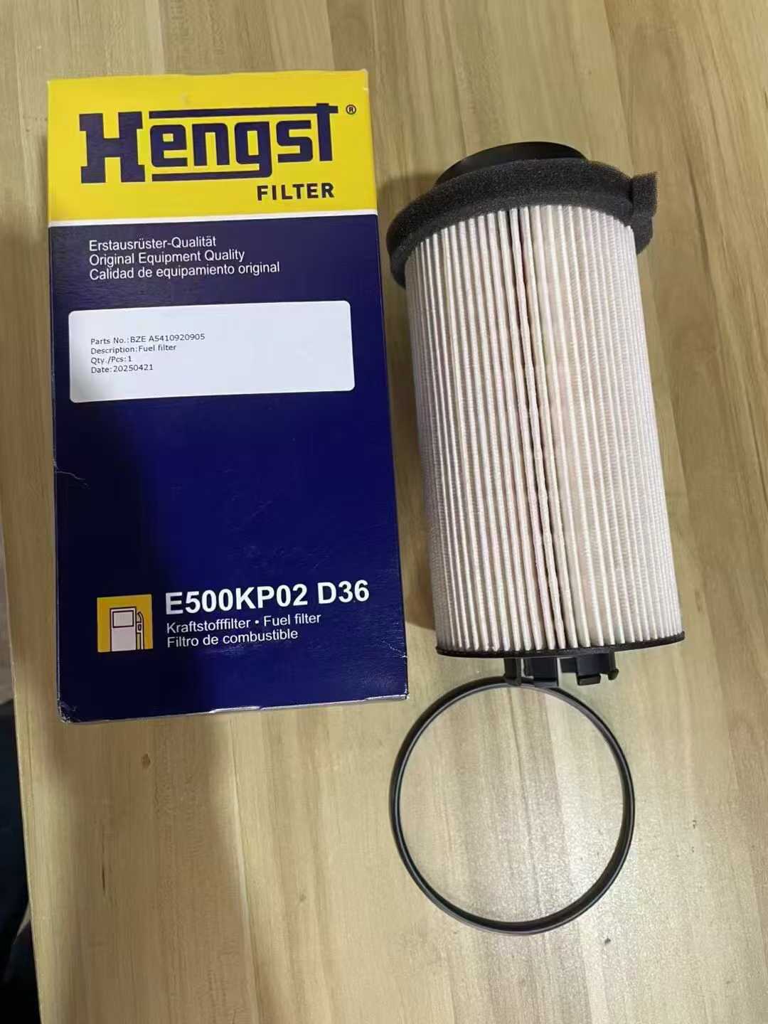 E500KP02D36 5410900151 Fuel Filter