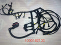1000162103 engine wiring harness
