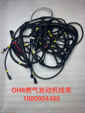 1000904460 engine wiring harness