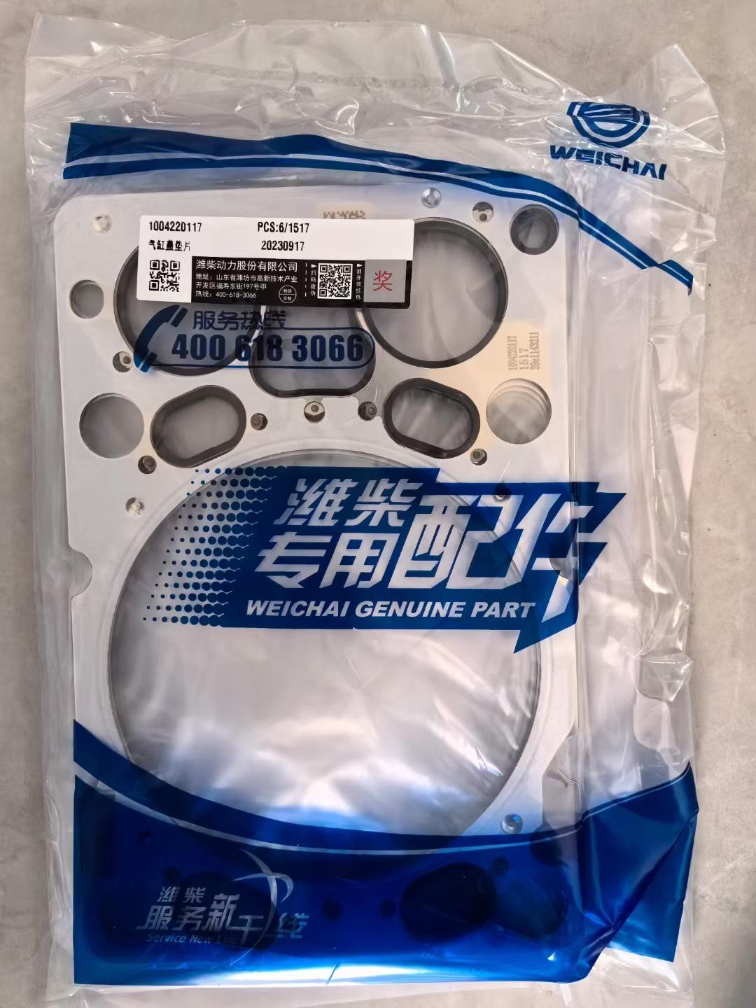 1004220117 cylinder gasket