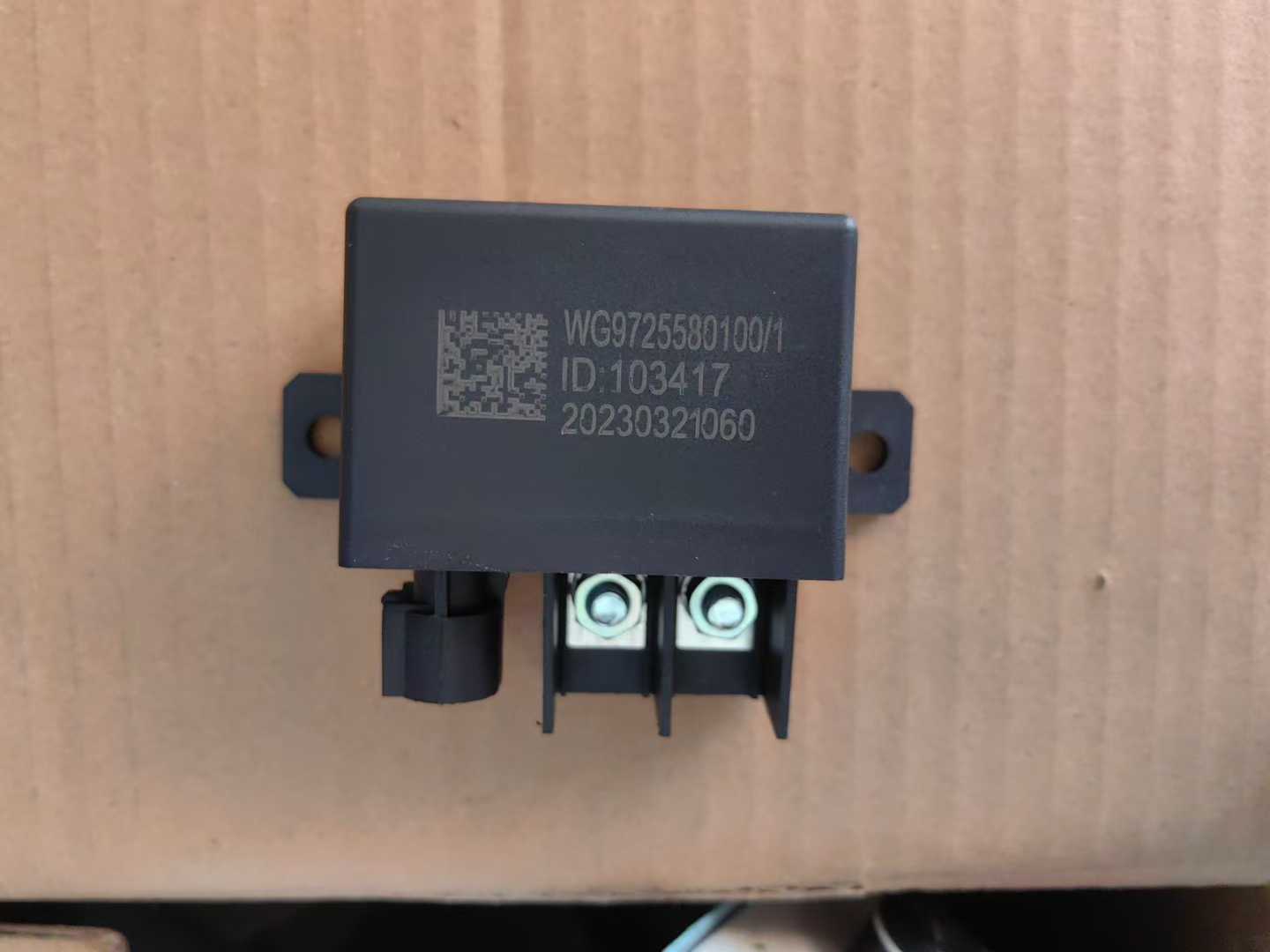 WG9725580100 Relay OEM