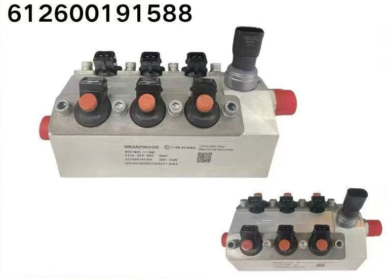 612600191588 Injection Valve Assembly OEM