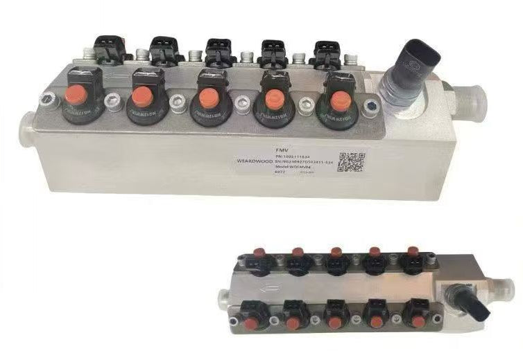 1005111834 Injection Valve Assembly OEM