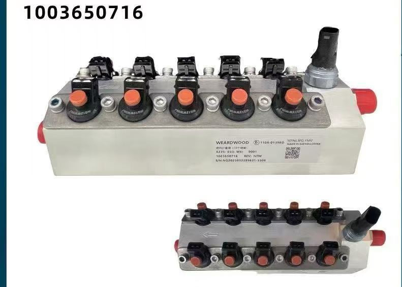 1003650716 injection valve assembly OEM