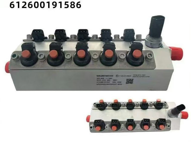 612600191586 Injection Valve Assembly OEM