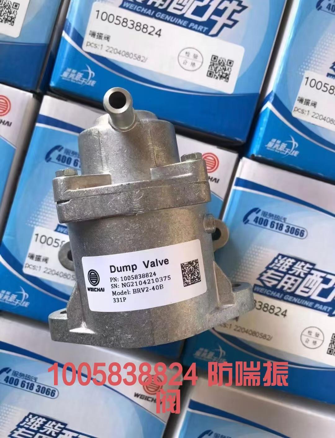 1005838824 anti surge valve OEM