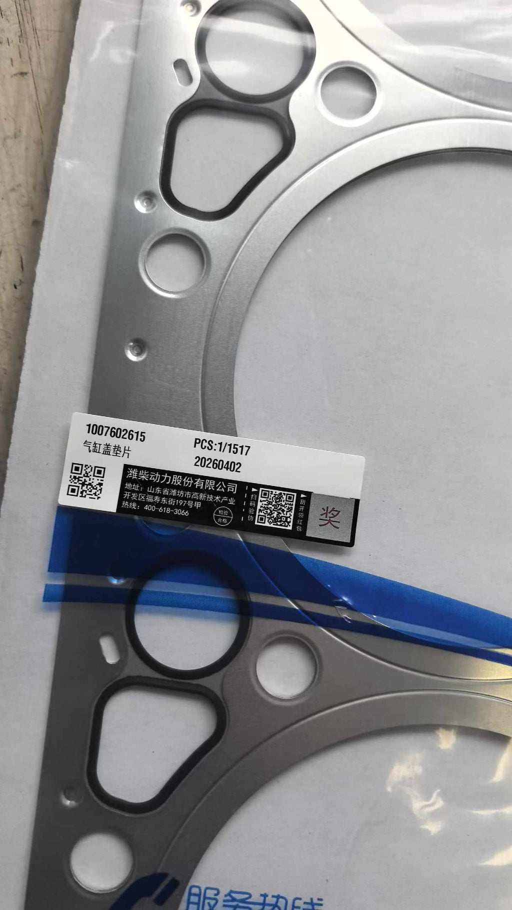 1007602615 cylinder gasket OEM
