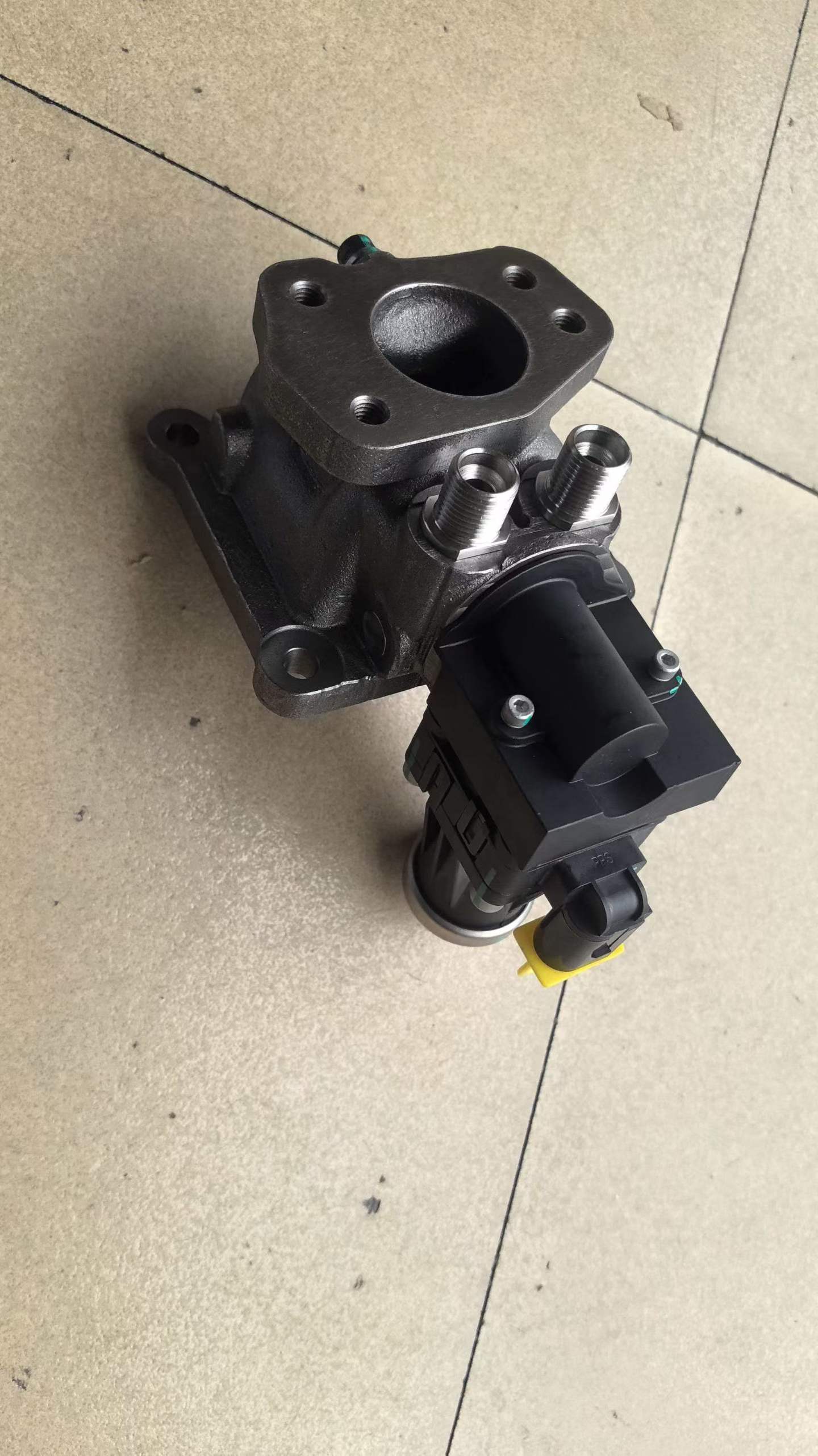 1001021919 EGR valve OEM
