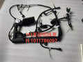 1011786097 engine wiring harness OEM