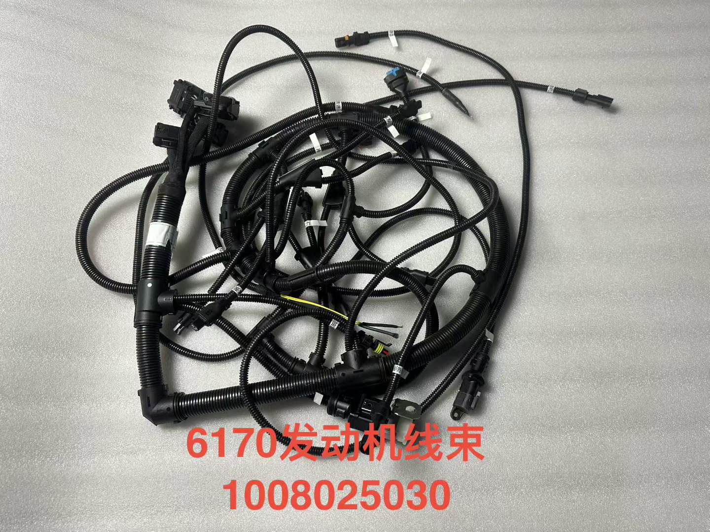 1008025030 engine wiring harness OEM