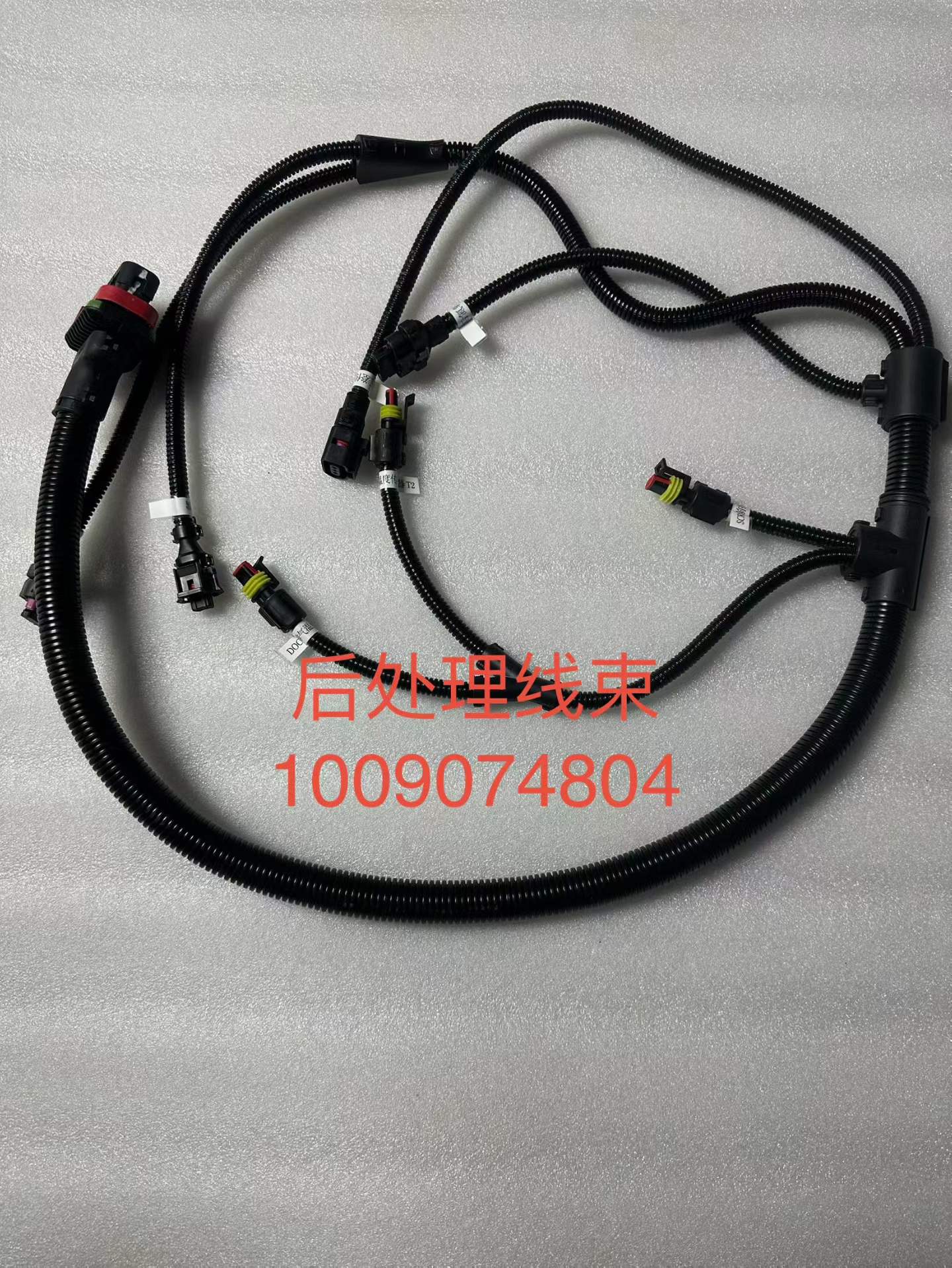1009074804 post-processing harness OEM