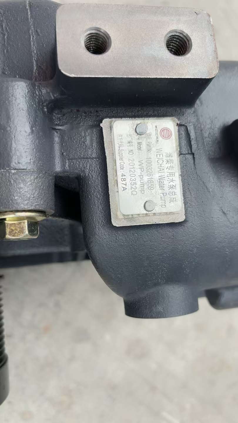 1003261859 engine water pump OEM