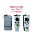 8107020-E408 expansion valve OEM