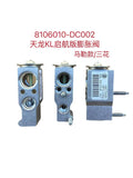 8106010-DC002 expansion valve OEM