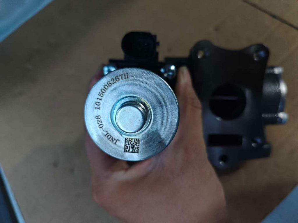 1015008267 EGR valve OEM