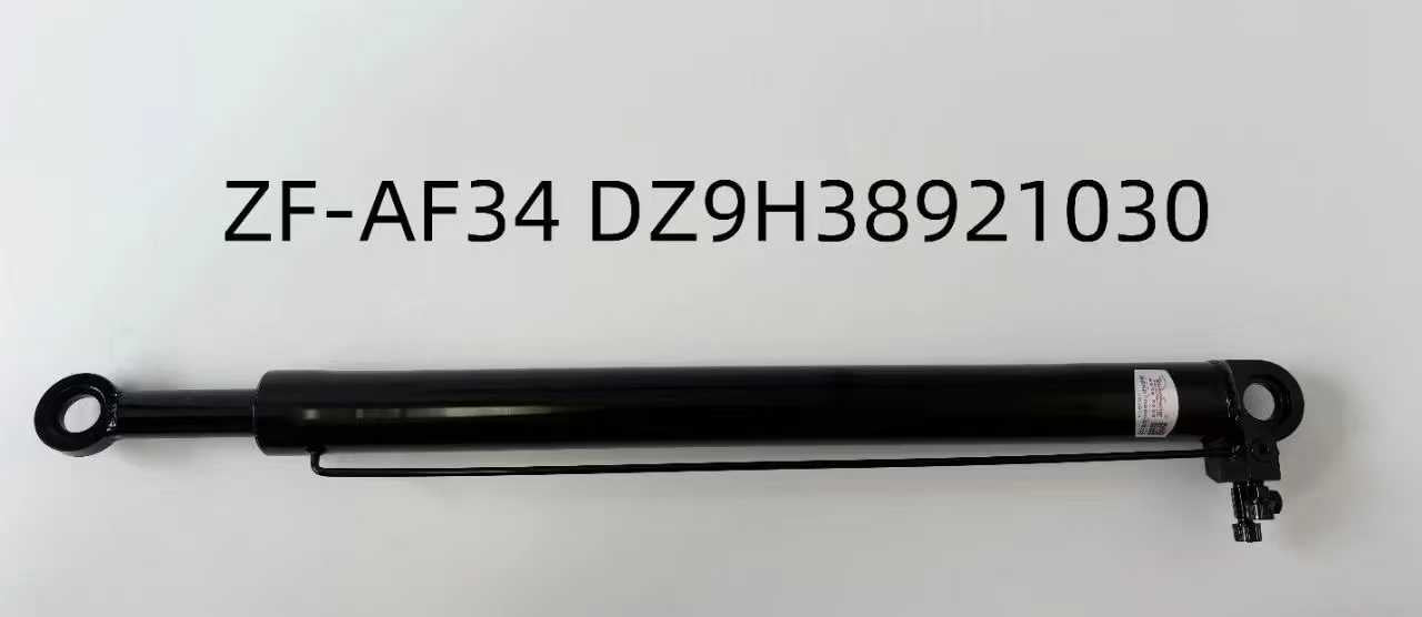 DZ9H38921030 lifting cylinder OEM