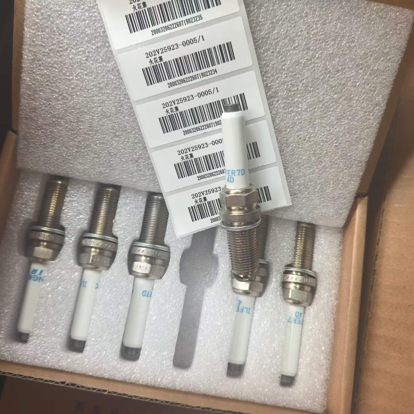 202V25923-0005  7D4D  Spark plug OEM