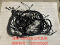 1007625507 Baudouin engine wiring harness OEM