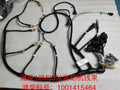 1001415464 Baudouin engine wiring harness OEM