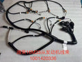 1001420336 Baudouin engine wiring harness OEM