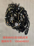 1004646551 Baudouin engine wiring harness OEM