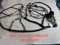 1001415463 Baudouin engine wiring harness OEM