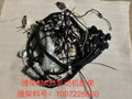 1007226660 Baudouin engine wiring harness OEM