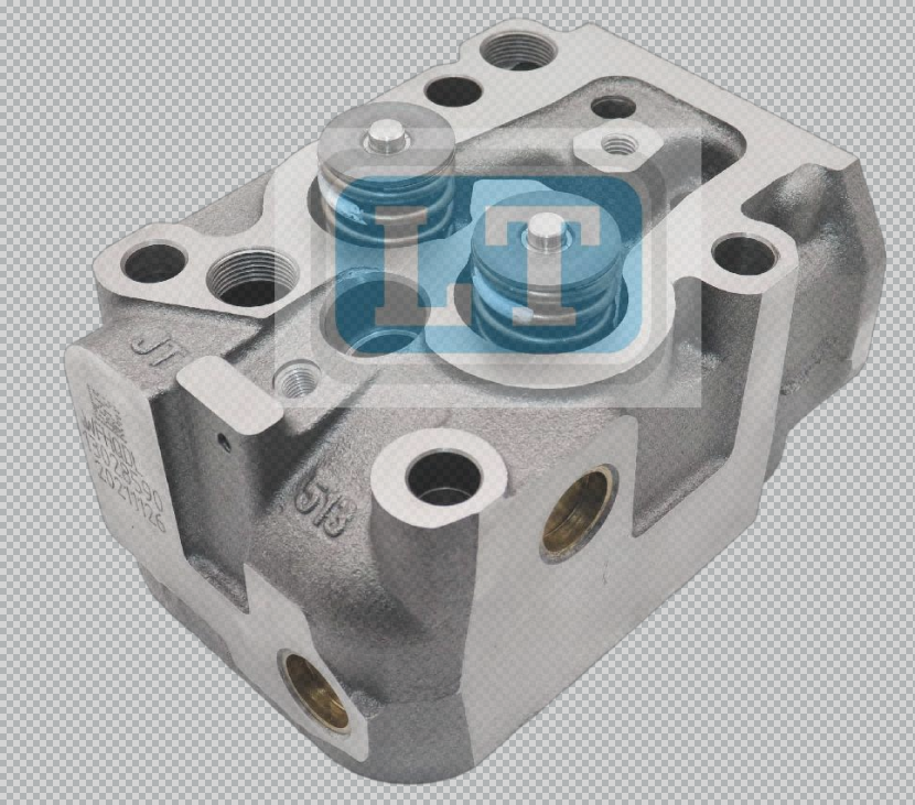 1002213786 Cylinder Head with Valve OEM