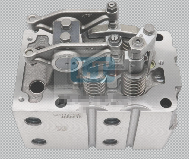 1005011132 cylinder head with valve OEM