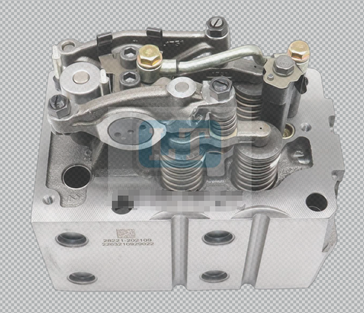 1005330620 cylinder head with valve OEM