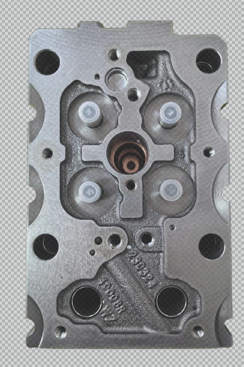 1002315422 cylinder head OEM