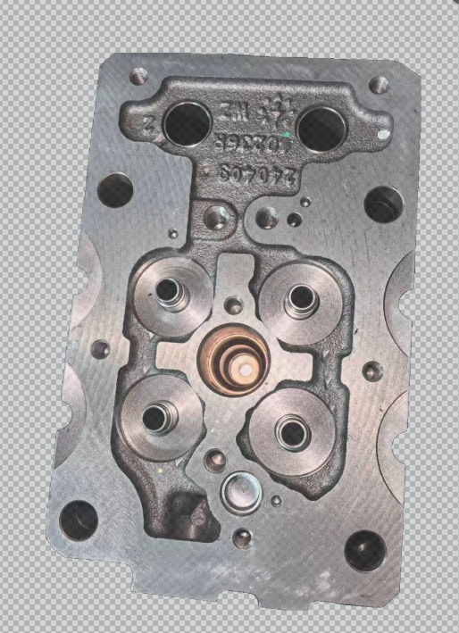1007877683 cylinder head OEM