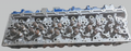 1004523901 cylinder head with valve OEM