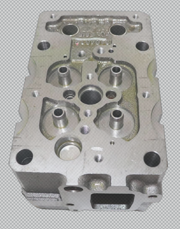 1005856300 cylinder head OEM