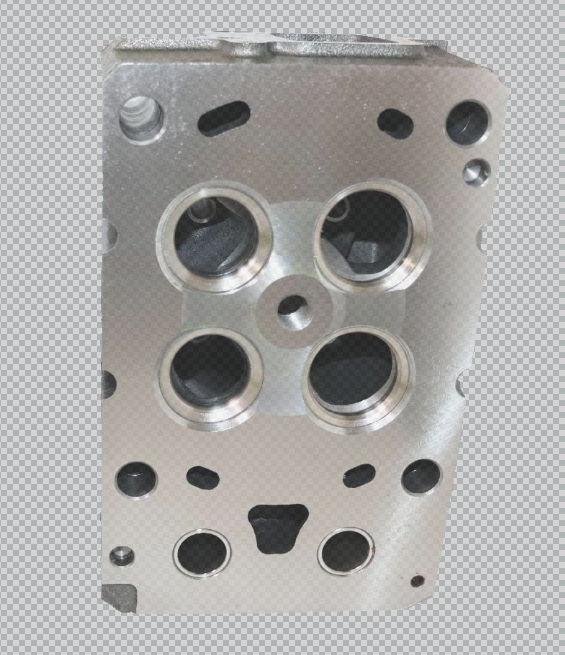 1005856300 cylinder head OEM