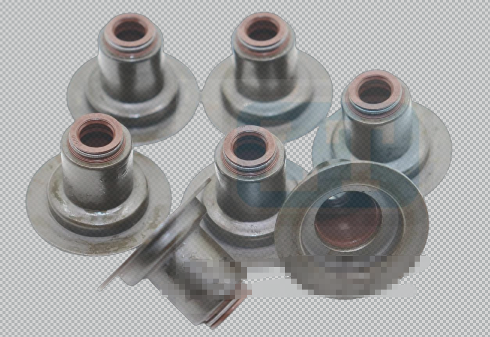 1000549569 Valve Oil Seal OEM