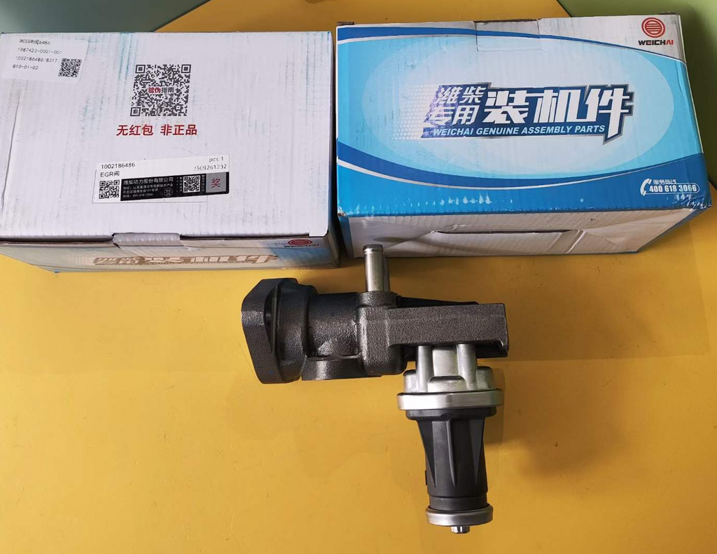1002186486 EGR valve