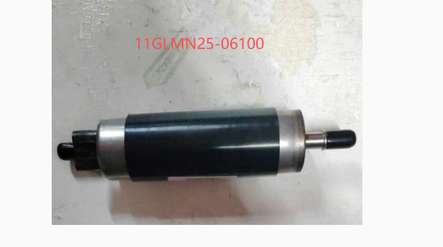11GLMN25-06100 methanol injection pump
