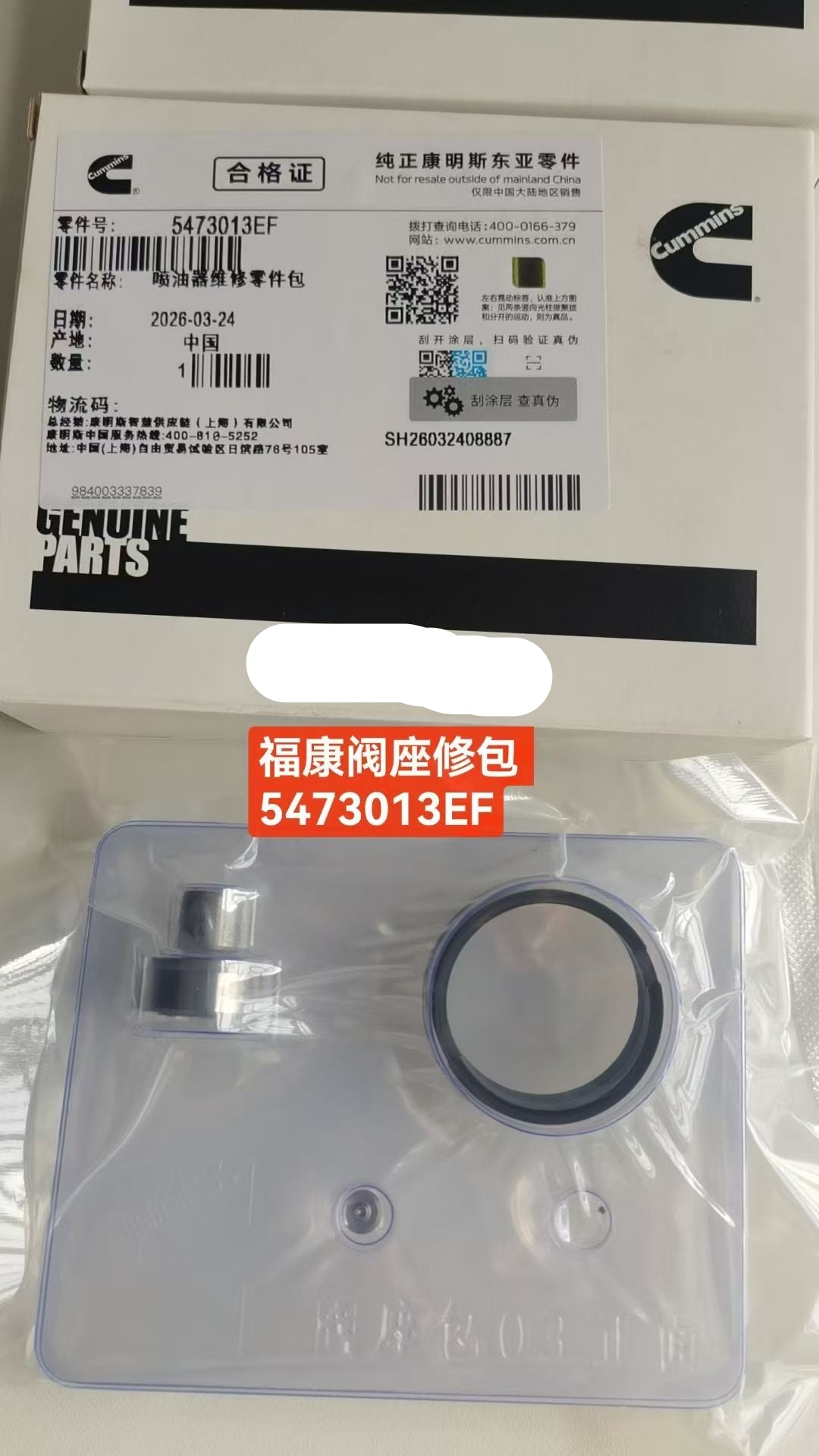 5473013EF Valve Seat Repair Kit OEM