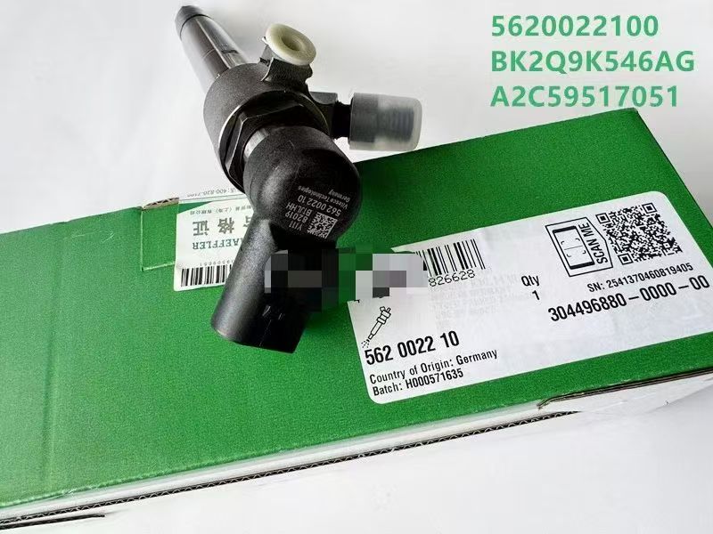 5620022100 A2C59517051 fuel injector OEM